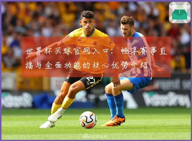 世界杯买球官网入口：畅享赛事直播与全面功能的核心优势介绍