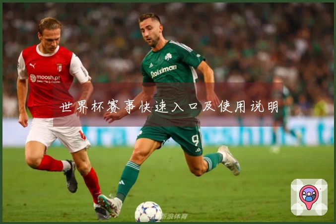 世界杯赛事快速入口及使用说明