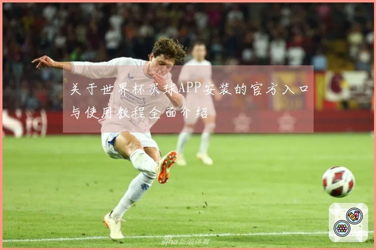 关于世界杯买球APP安装的官方入口与使用教程全面介绍