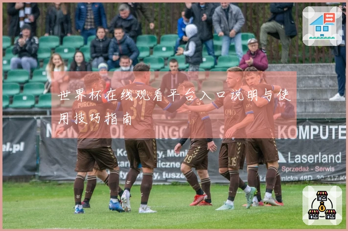 世界杯在线观看平台入口说明与使用技巧指南