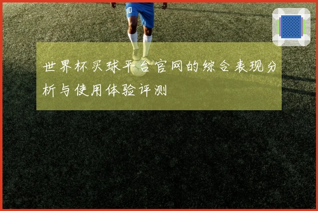 世界杯买球平台官网的综合表现分析与使用体验评测