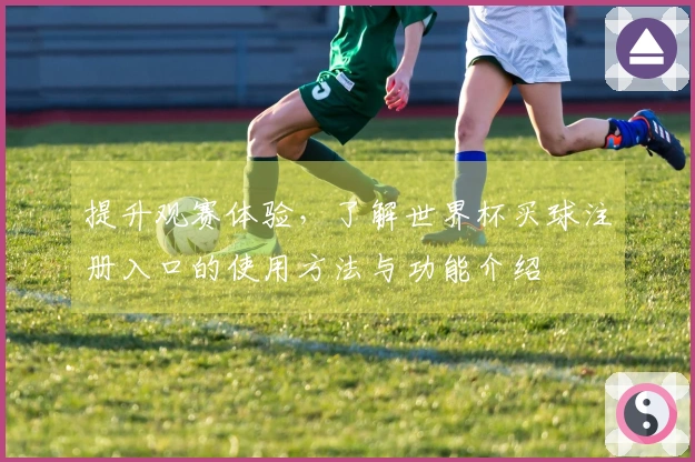提升观赛体验，了解世界杯买球注册入口的使用方法与功能介绍