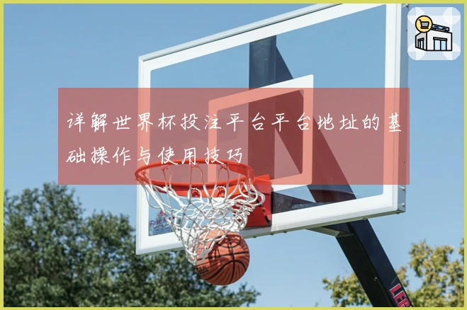详解世界杯投注平台平台地址的基础操作与使用技巧