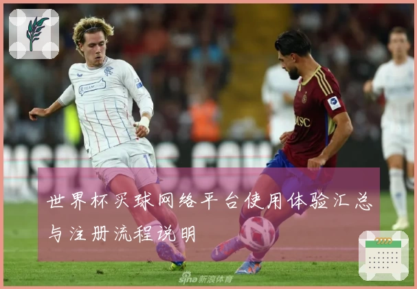 世界杯买球网络平台使用体验汇总与注册流程说明