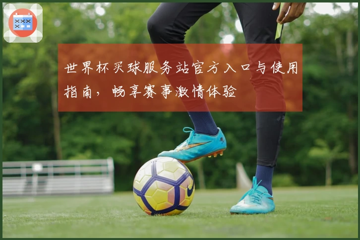 世界杯买球服务站官方入口与使用指南，畅享赛事激情体验