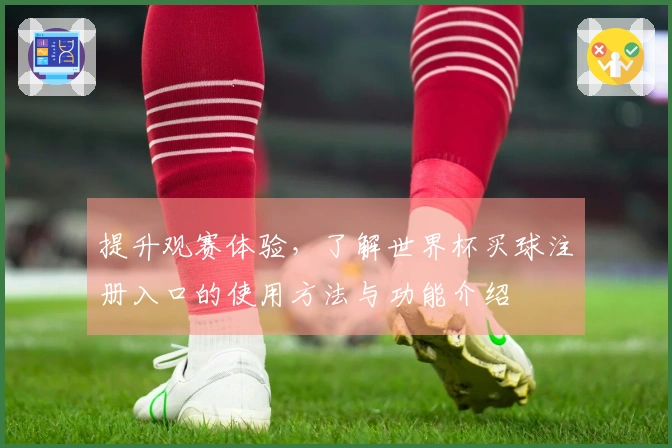 提升观赛体验，了解世界杯买球注册入口的使用方法与功能介绍