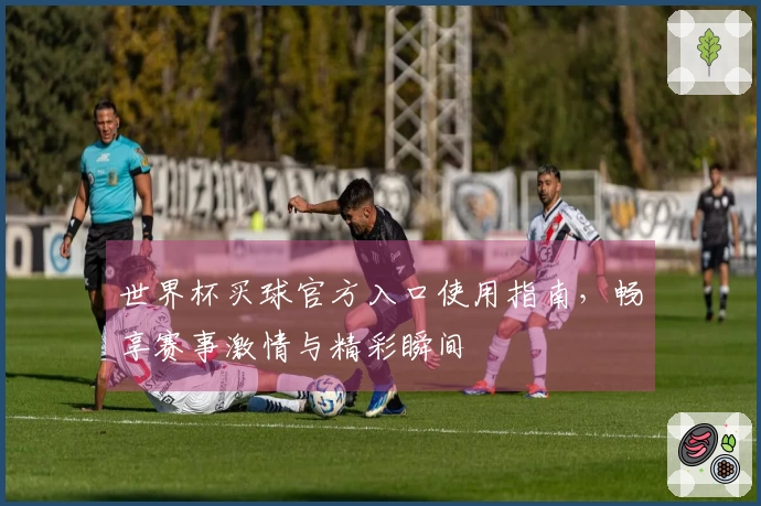 世界杯买球官方入口使用指南，畅享赛事激情与精彩瞬间