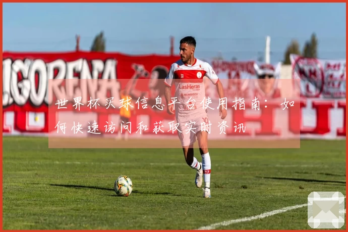 世界杯买球信息平台使用指南：如何快速访问和获取实时资讯