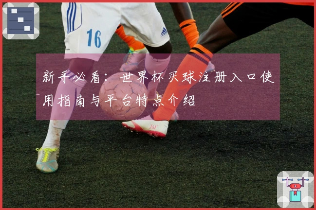 新手必看：世界杯买球注册入口使用指南与平台特点介绍