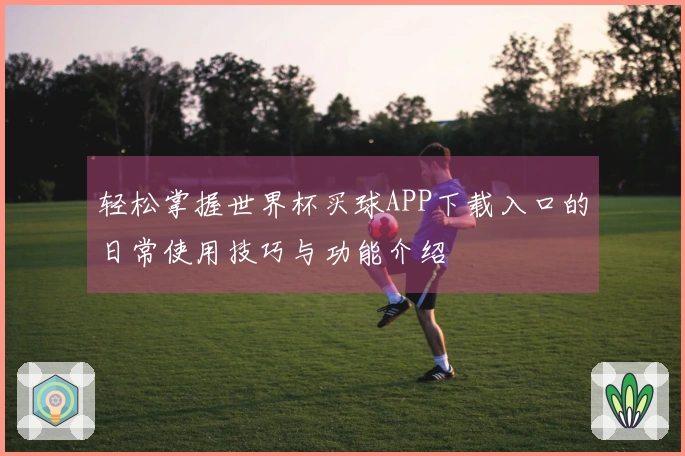 轻松掌握世界杯买球APP下载入口的日常使用技巧与功能介绍