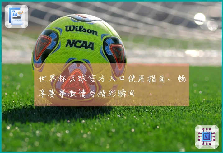 世界杯买球官方入口使用指南，畅享赛事激情与精彩瞬间