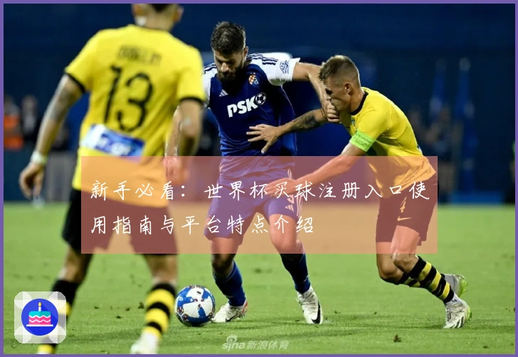 新手必看:世界杯买球注册入口使用指南与平台特点介绍