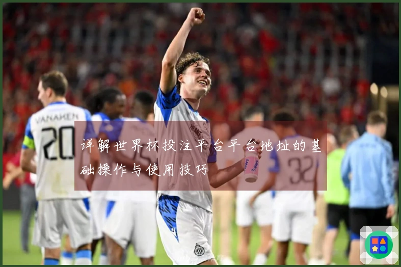 详解世界杯投注平台平台地址的基础操作与使用技巧
