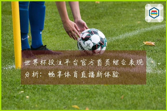 世界杯投注平台官方首页综合表现分析：畅享体育直播新体验
